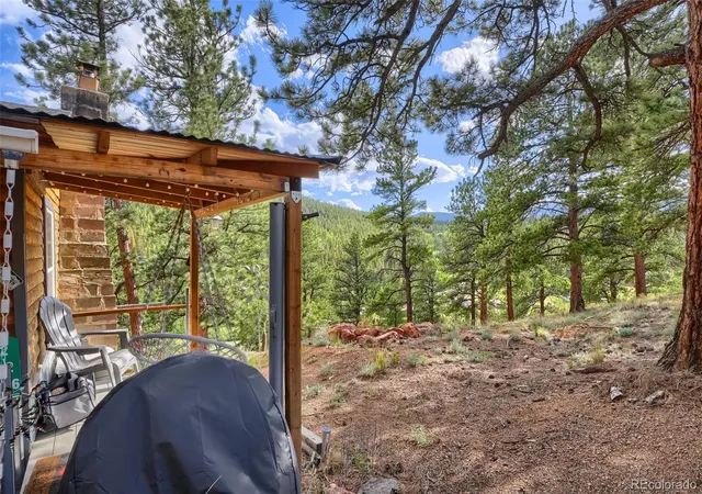 Homes for sale in Bailey, CO | 226 Hall Rd, Bailey, CO 80421 | MLS# 1723855