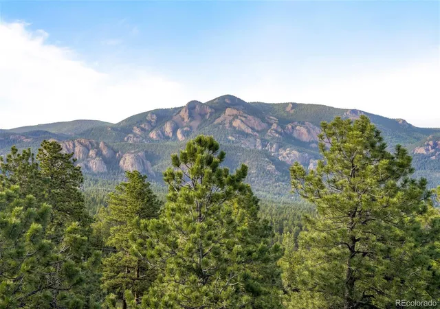 Homes for sale in Pine, CO | 229 Mohawk Trl, Pine, CO 80470 | MLS# 2962593