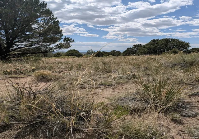 Homes for sale in Crestone, CO | 3213 Enchanted Ct, Crestone, CO 81131 | MLS# 6717287