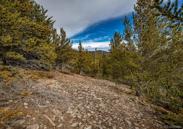 Homes for sale in Idaho Springs, CO | Lot 530 Hilltop Rd, Idaho Springs, CO 80452 | MLS# 6249215