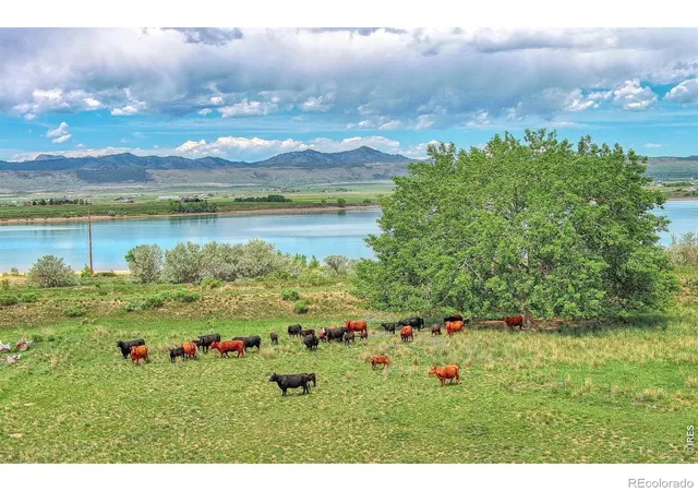 17th image of 7481 N County Road 15, Fort Collins, CO 80524 | MLS# IR1060989