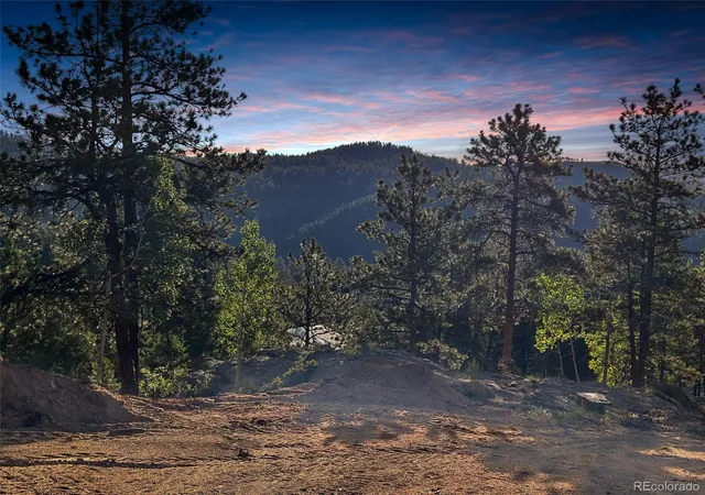 Homes for sale in Bailey, CO | 4501 County Road 72, Bailey, CO 80421 | MLS# 8140645