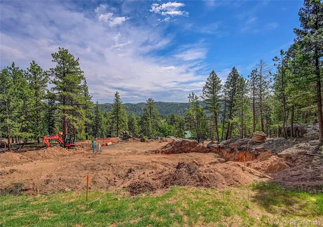 Homes for sale in Bailey, CO | 4501 County Road 72, Bailey, CO 80421 | MLS# 8140645