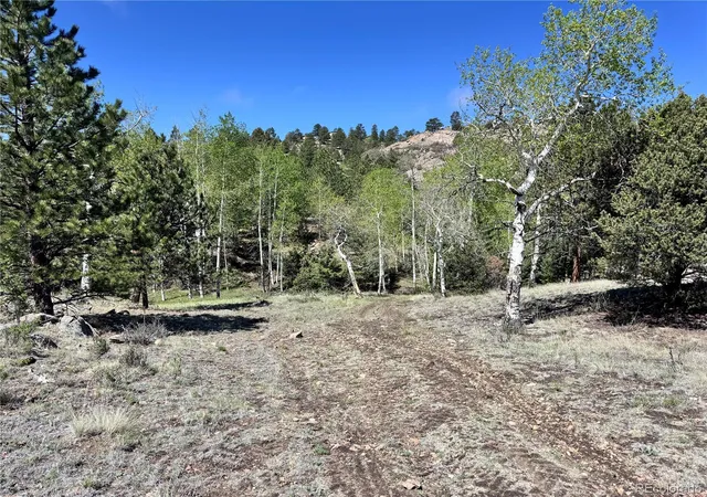 16th image of Dilley Road, Westcliffe, CO 81252 | MLS# 6023127