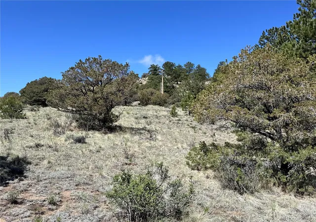 3rd image of Dilley Road, Westcliffe, CO 81252 | MLS# 6023127