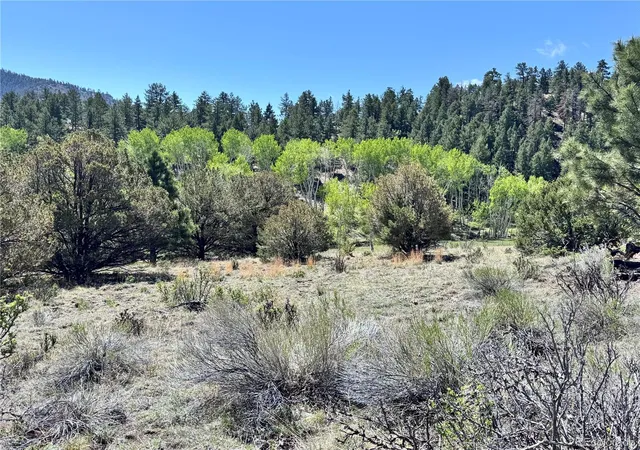 4th image of Dilley Road, Westcliffe, CO 81252 | MLS# 6023127