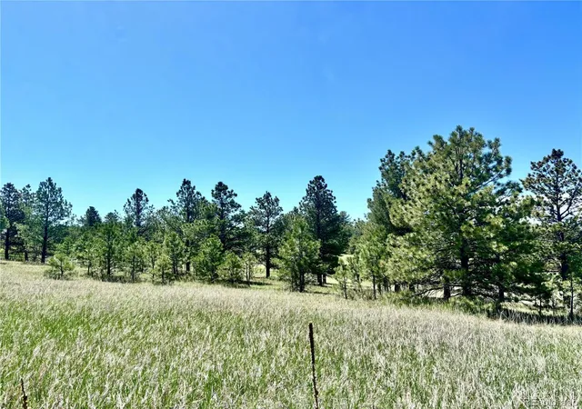 9th image of 11455 Random Valley Cir, Parker, CO 80134 | MLS# 6146190