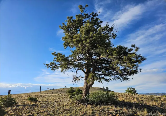 Photo 3 of Land for sale at Pcs#24142 Antero Rd, Hartsel, CO 80449 | MLS# 9256212 | Listing updated on 2026-07-27