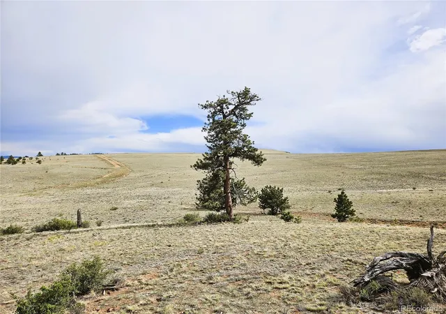 Photo 3 of Land for sale at Pcs#24131 Chato Rd, Hartsel, CO 80449 | MLS# 5751633 | Listing updated on 2026-07-27