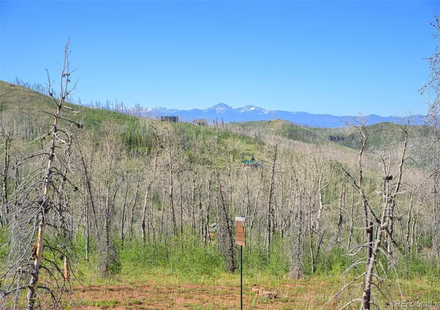 Homes for sale in Granby, CO | 463 County Road 414, Granby, CO 80446 | MLS# 4024435