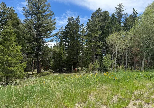 Homes for sale in Silverthorne, CO | Spring Creek Ranch Rd, Silverthorne, CO 80498 | MLS# 9067256