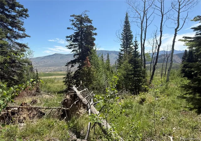 5th image of Spring Creek Ranch Rd, Silverthorne, CO 80498 | MLS# 9067256