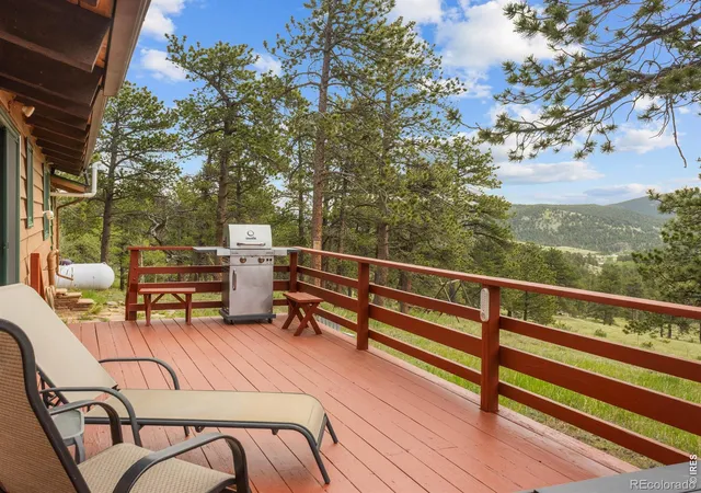 3rd image of 839 Ski Rd, Allenspark, CO 80510 | MLS# IR1061196