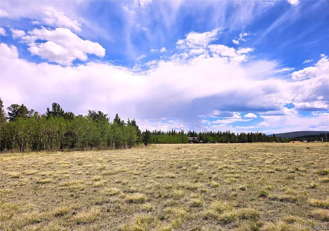 Homes for sale in Fairplay, CO | Pcs#38033 Foxtail Dr, Fairplay, CO 80440 | MLS# 3015443