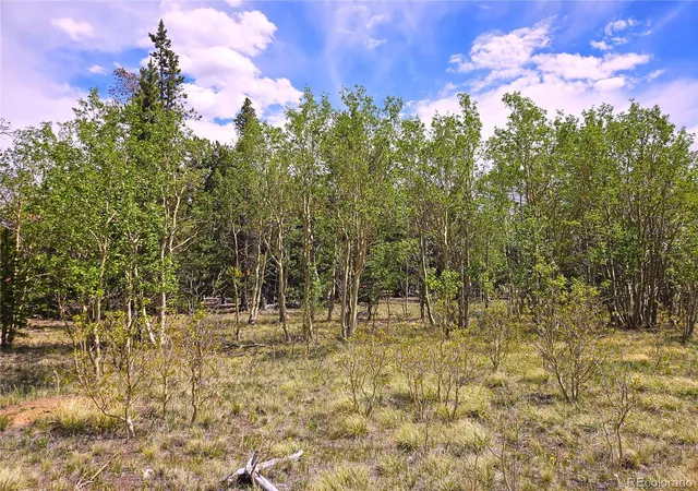 Homes for sale in Fairplay, CO | Pcs#38033 Foxtail Dr, Fairplay, CO 80440 | MLS# 3015443