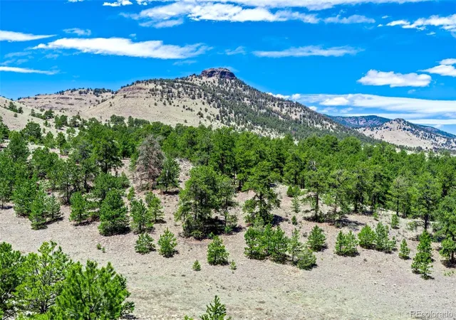2nd image of 00 Roan Trl, Guffey, CO 80820 | MLS# 9131694