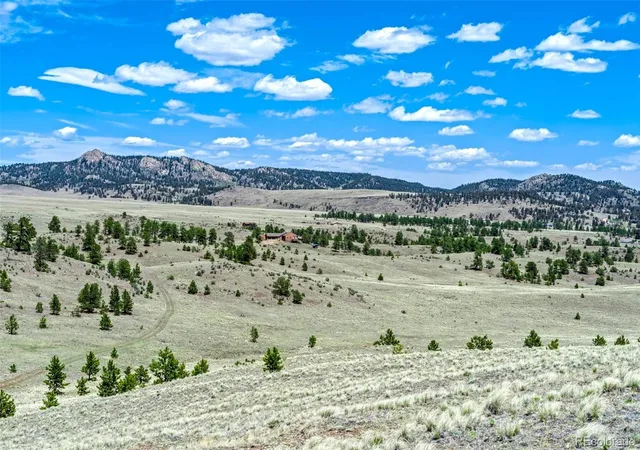 3rd image of 00 Roan Trl, Guffey, CO 80820 | MLS# 9131694