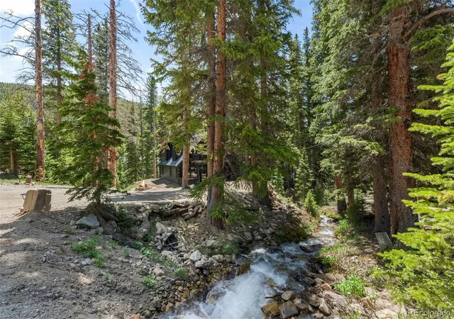 Homes for sale in Idaho Springs, CO | 46 Silver Creek Rd, Idaho Springs, CO 80452 | MLS# 9889203