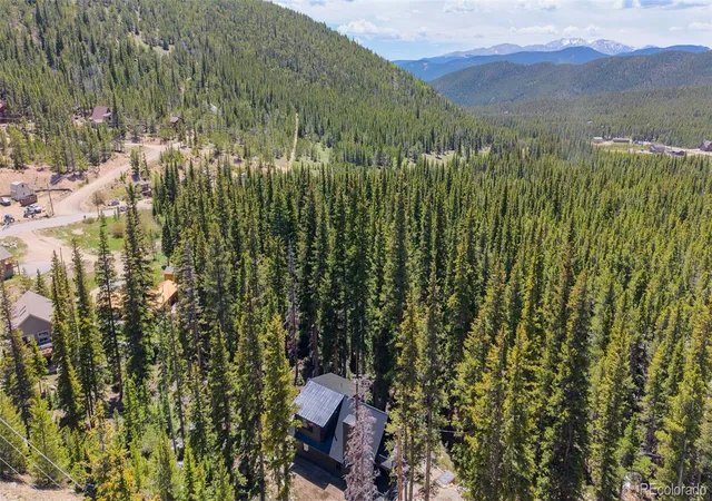 Homes for sale in Idaho Springs, CO | 46 Silver Creek Rd, Idaho Springs, CO 80452 | MLS# 9889203