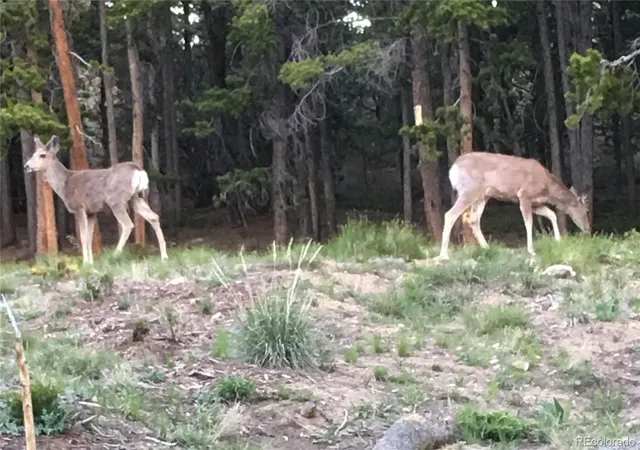 Photo 2 of Land for sale at Philidelphia Silver Star, Idaho Springs, CO 80452 | MLS# 3587172 | Listing updated on 2026-09-16