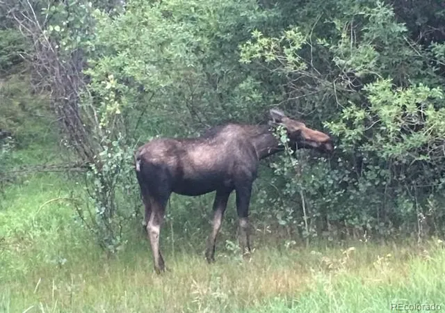 Photo 3 of Land for sale at Philidelphia Silver Star, Idaho Springs, CO 80452 | MLS# 3587172 | Listing updated on 2026-09-16