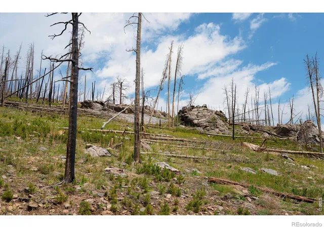 3rd image of 30 Sheep Horn Ct, Bellvue, CO 80512 | MLS# IR1061233