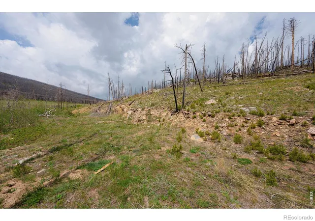 4th image of 30 Sheep Horn Ct, Bellvue, CO 80512 | MLS# IR1061233
