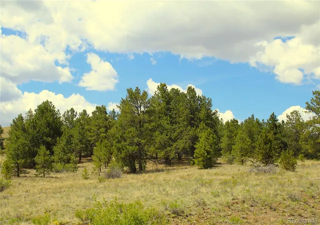 Photo 15 of Land for sale at 60 Hill Rd, Hartsel, CO 80449 | MLS# 8845272 | Listing updated on 2026-06-08