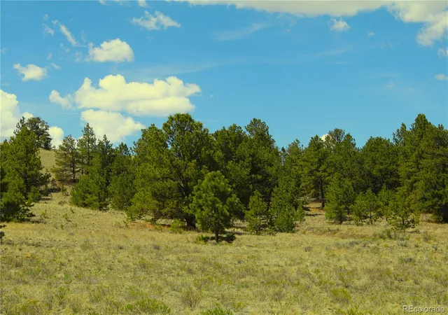 Photo 2 of Land for sale at 60 Hill Rd, Hartsel, CO 80449 | MLS# 8845272 | Listing updated on 2026-06-08