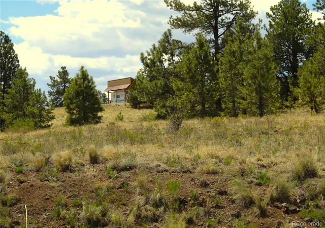 Photo 3 of Land for sale at 60 Hill Rd, Hartsel, CO 80449 | MLS# 8845272 | Listing updated on 2026-06-08