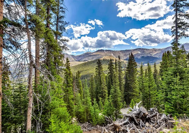 Homes for sale in Breckenridge, CO | 413 Carroll Ln, Breckenridge, CO 80424 | MLS# 2888304