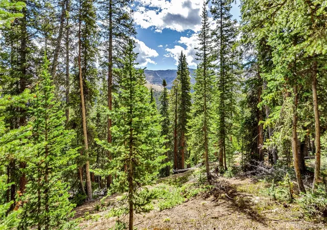 Homes for sale in Breckenridge, CO | 413 Carroll Ln, Breckenridge, CO 80424 | MLS# 2888304