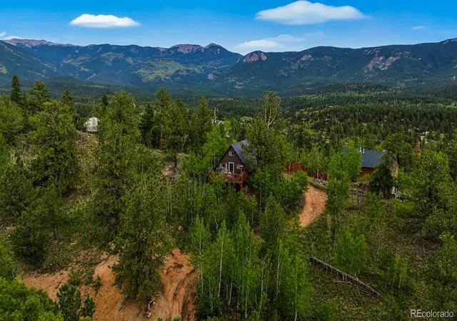 Homes for sale in Bailey, CO | 229 Mcdougal Rd, Bailey, CO 80421 | MLS# 6371829