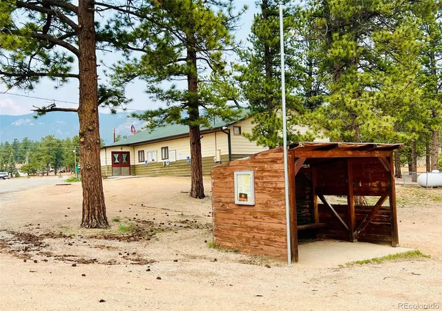 Homes for sale in Bailey, CO | 229 Mcdougal Rd, Bailey, CO 80421 | MLS# 6371829