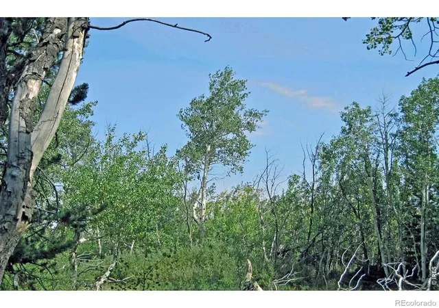 1st image of Wilderness Ranch Rd, Red Feather Lakes, CO 82070 | MLS# IR1061259
