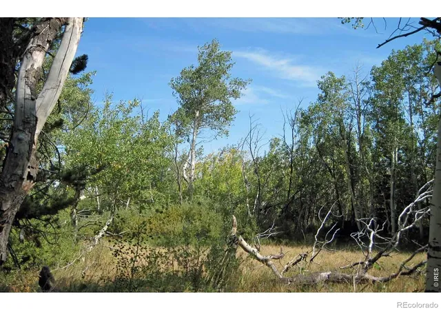 Photo 1 of Land for sale at CO | Wilderness Ranch Rd,CO 82070 | MLS# IR1061259 | Listing updated on 2026-09-24