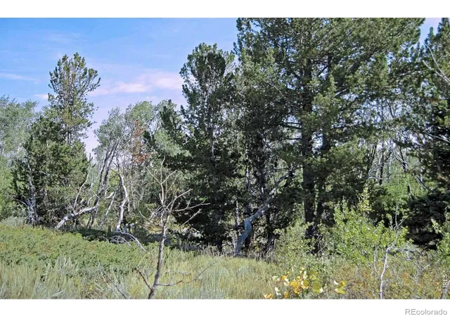 2nd image of Wilderness Ranch Rd, Red Feather Lakes, CO 82070 | MLS# IR1061259