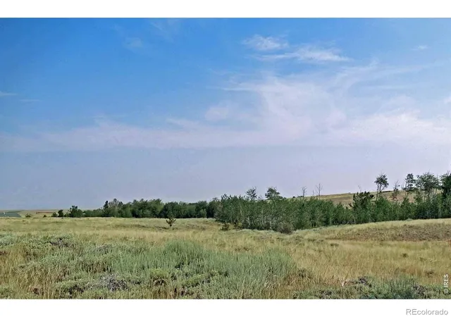 3rd image of Wilderness Ranch Rd, Red Feather Lakes, CO 82070 | MLS# IR1061259