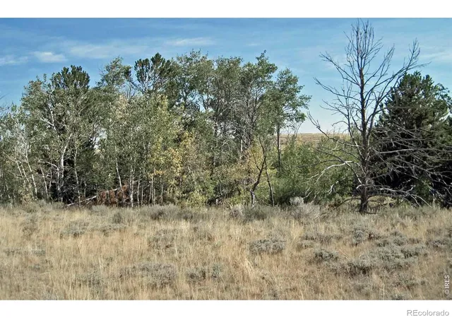 Photo 3 of Land for sale at CO | Wilderness Ranch Rd,CO 82070 | MLS# IR1061259 | Listing updated on 2026-09-24