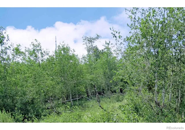 4th image of Wilderness Ranch Rd, Red Feather Lakes, CO 82070 | MLS# IR1061259