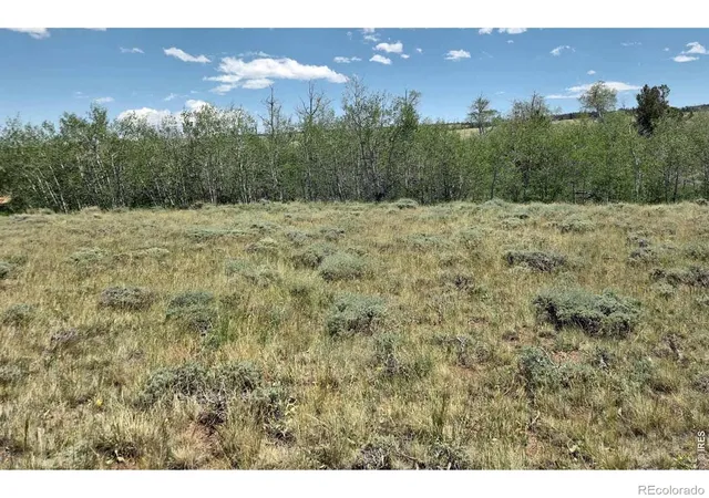 Photo 3 of Land for sale at CO | Wilderness Ranch Rd,CO 82070 | MLS# IR1061259 | Listing updated on 2026-09-24