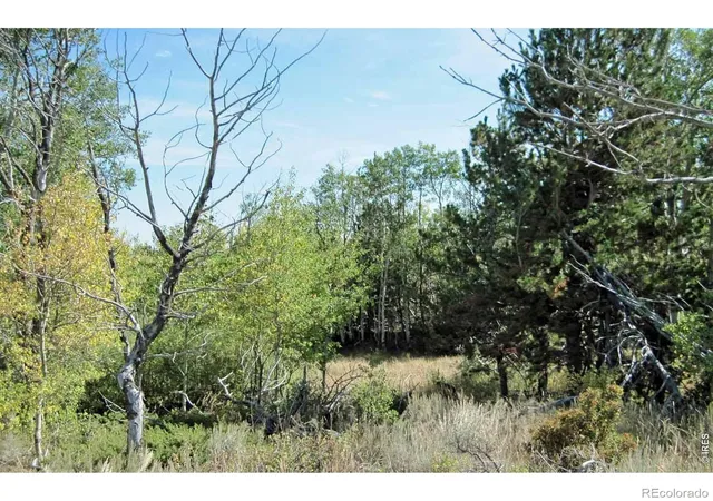 Photo 4 of Land for sale at CO | Wilderness Ranch Rd,CO 82070 | MLS# IR1061259 | Listing updated on 2026-09-24
