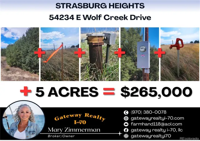Homes for sale in Strasburg, CO | 54234 E Wolf Creek Dr, Strasburg, CO 80136 | MLS# 9803528