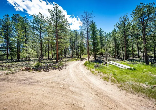 Homes for sale in Pine, CO | S Wandcrest Dr, Pine, CO 80470 | MLS# 8717901