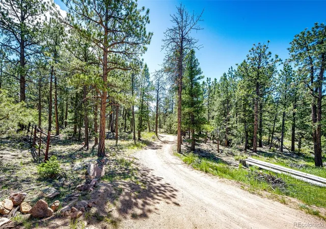 Homes for sale in Pine, CO | S Wandcrest Dr, Pine, CO 80470 | MLS# 8717901
