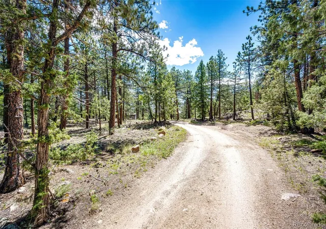 Homes for sale in Pine, CO | S Wandcrest Dr, Pine, CO 80470 | MLS# 8717901