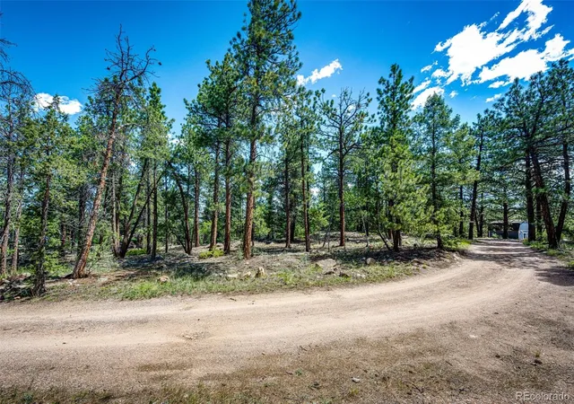 Homes for sale in Pine, CO | S Wandcrest Dr, Pine, CO 80470 | MLS# 8717901