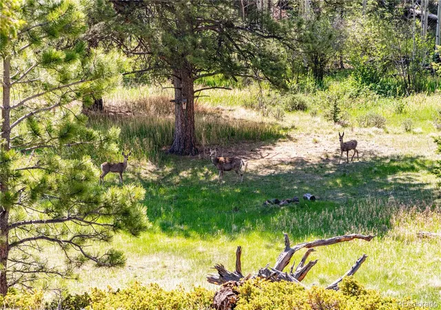 4th image of 298 Steven Rd, Canon City, CO 81212 | MLS# 3667984