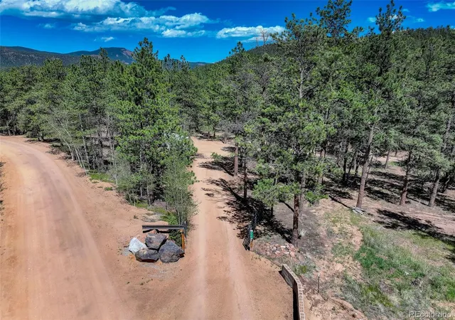 Homes for sale in Bailey, CO | 858 Forest Dr, Bailey, CO 80421 | MLS# 4669881