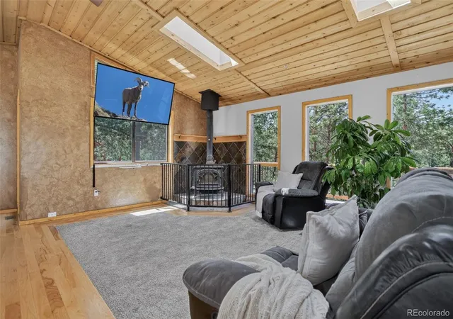Homes for sale in Bailey, CO | 858 Forest Dr, Bailey, CO 80421 | MLS# 4669881
